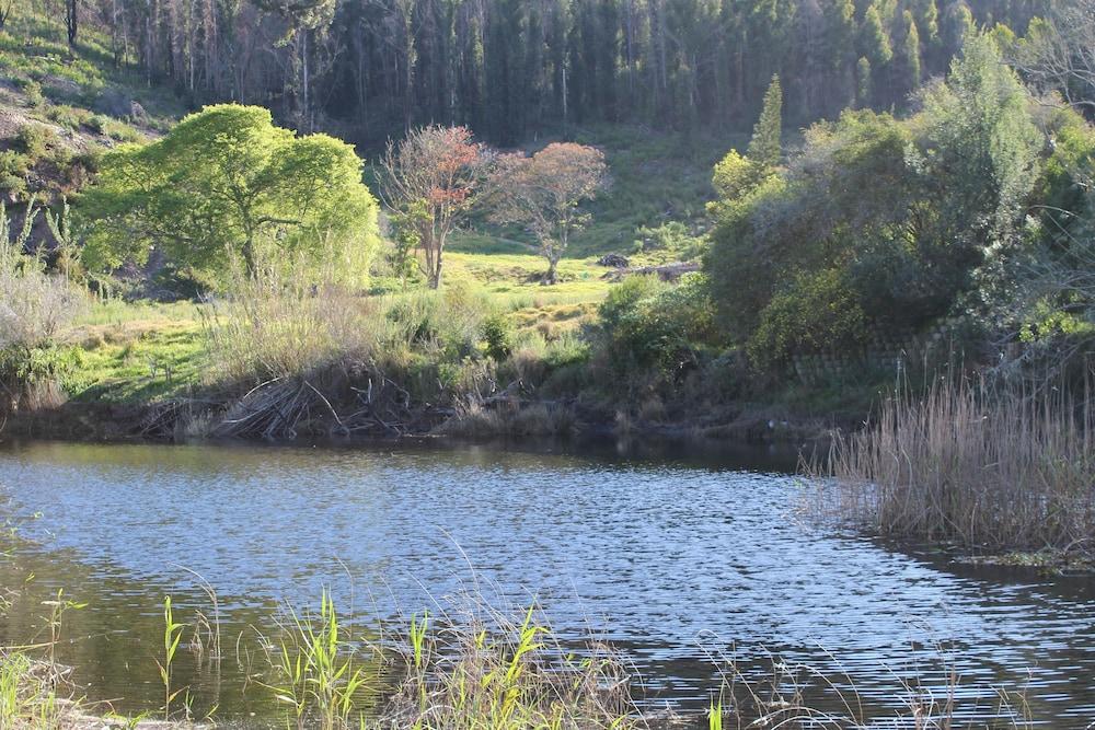 Blackwaters River Lodge, Knysna Kültér fotó