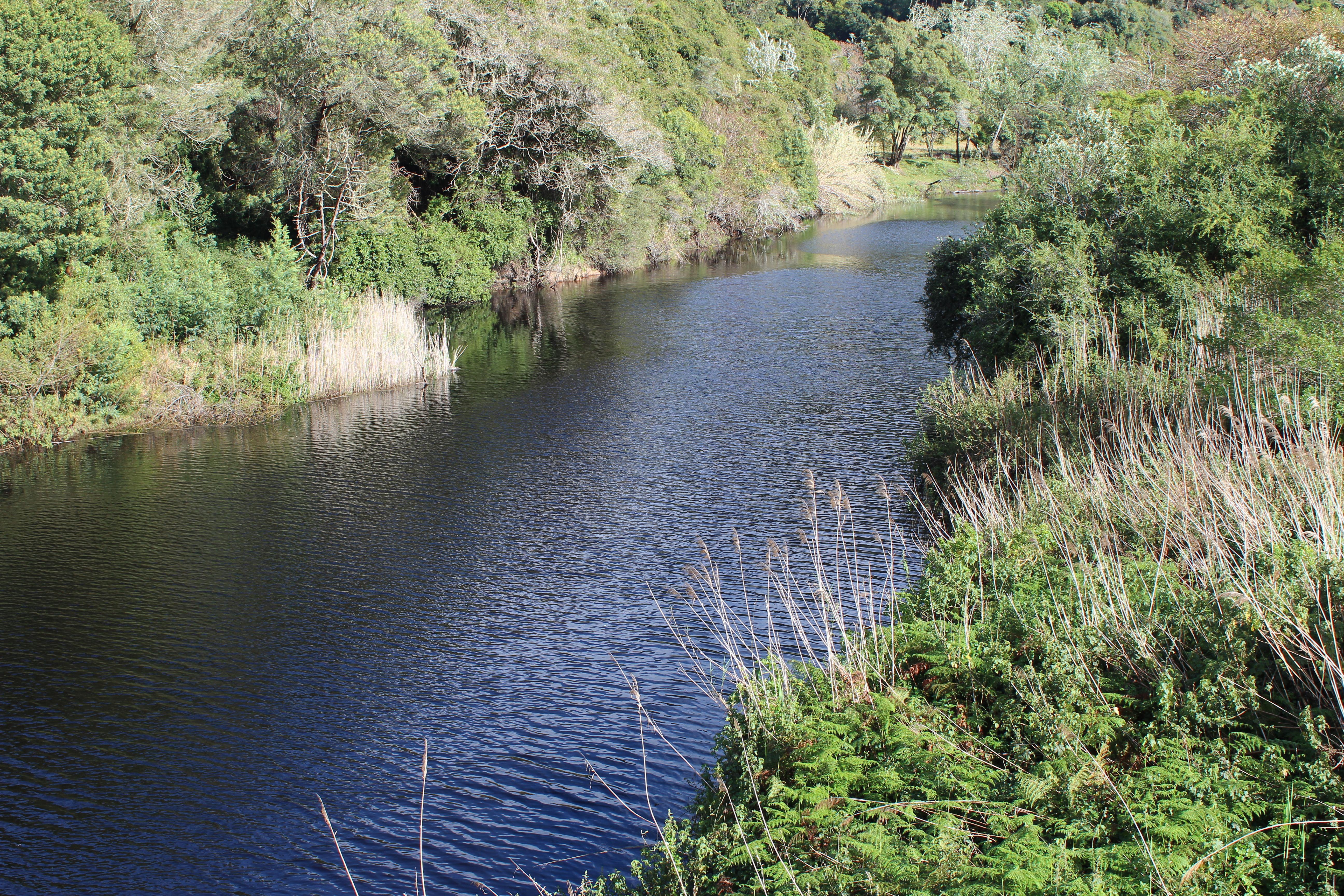 Blackwaters River Lodge, Knysna Kültér fotó