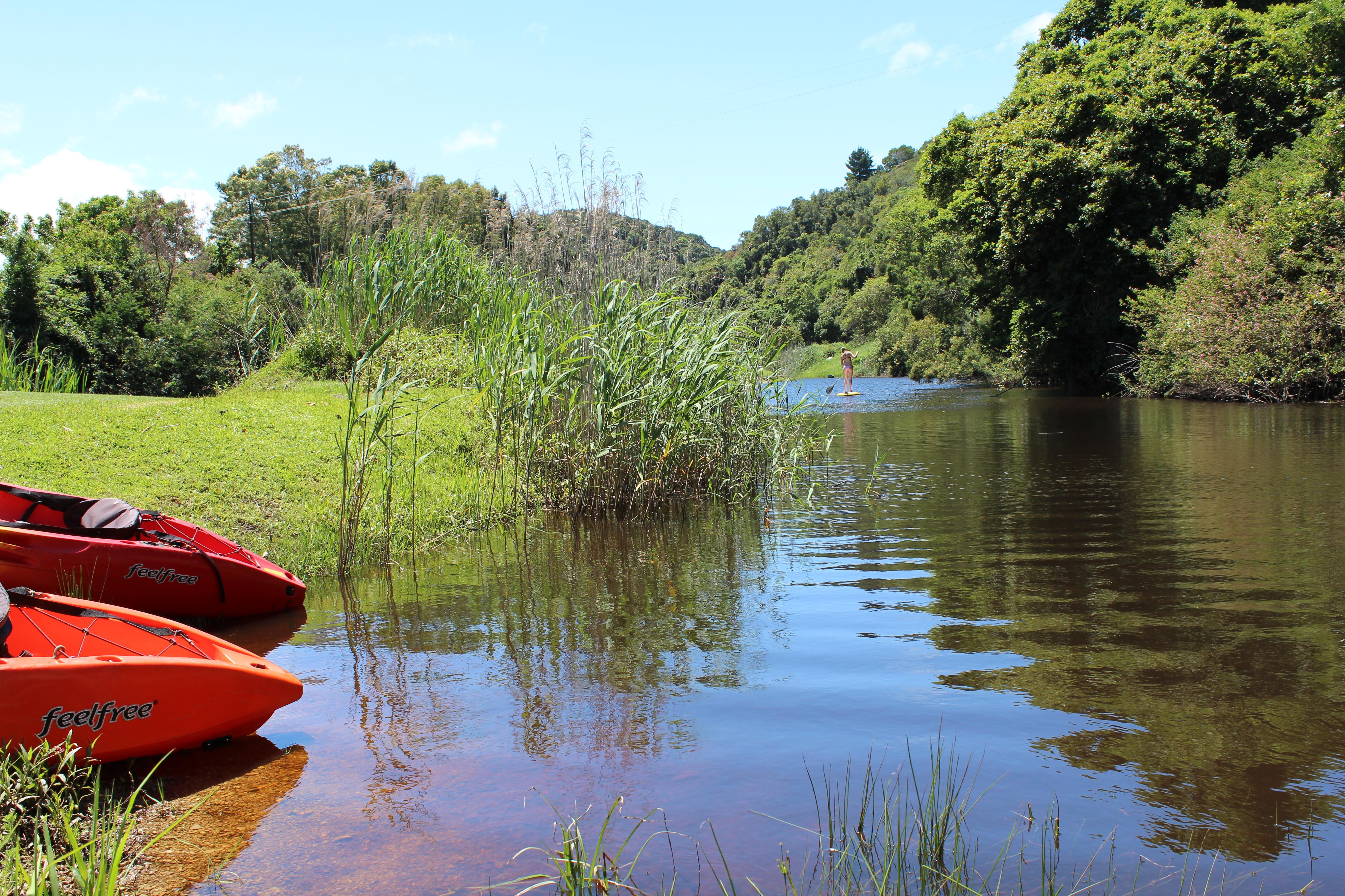 Blackwaters River Lodge, Knysna Kültér fotó